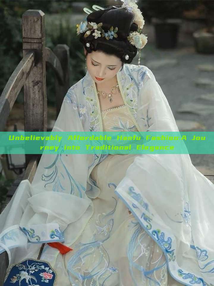 Unbelievably Affordable Hanfu Fashion:A Journey into Traditional Elegance Unbelievably Affordable Hanfu Fashion:A Journey into Traditional Elegance