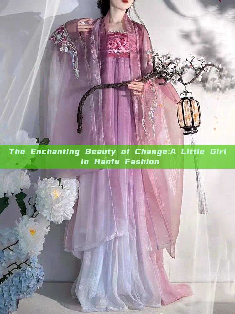 The Enchanting Beauty of Change:A Little Girl in Hanfu Fashion The Enchanting Beauty of Change:A Little Girl in Hanfu Fashion