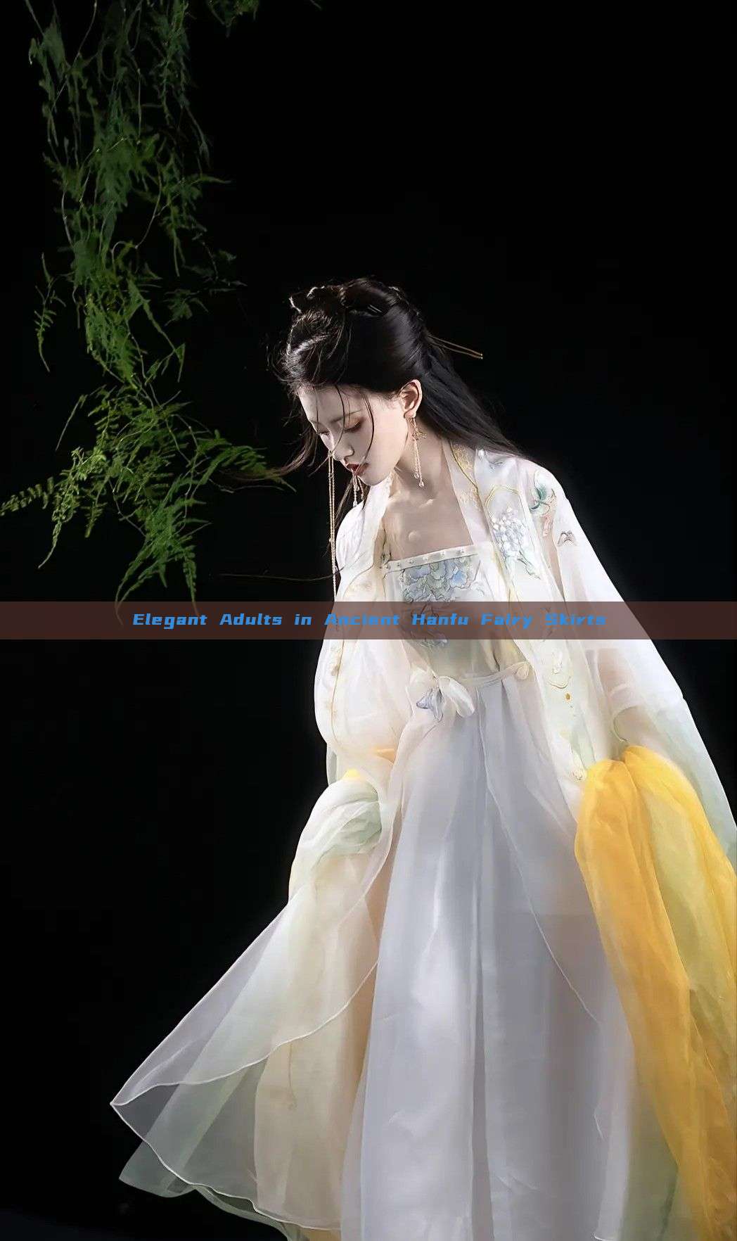 Elegant Adults in Ancient Hanfu Fairy Skirts Elegant Adults in Ancient Hanfu Fairy Skirts