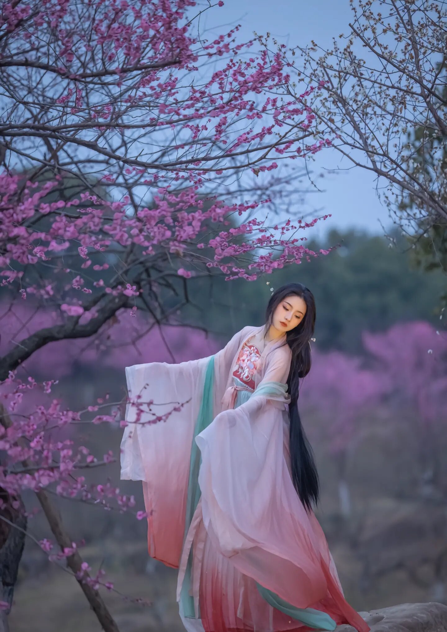 Chinese Traditional Hanfu:A Journey Through Ancient Elegance Chinese Traditional Hanfu:A Journey Through Ancient Elegance