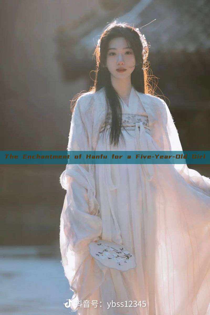 The Enchantment of Hanfu for a Five-Year-Old Girl The Enchantment of Hanfu for a Five-Year-Old Girl