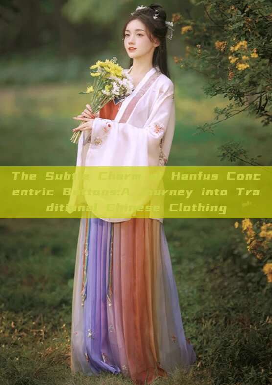 The Subtle Charm of Hanfus Concentric Buttons:A Journey into Traditional Chinese Clothing The Subtle Charm of Hanfus Concentric Buttons:A Journey into Traditional Chinese Clothing