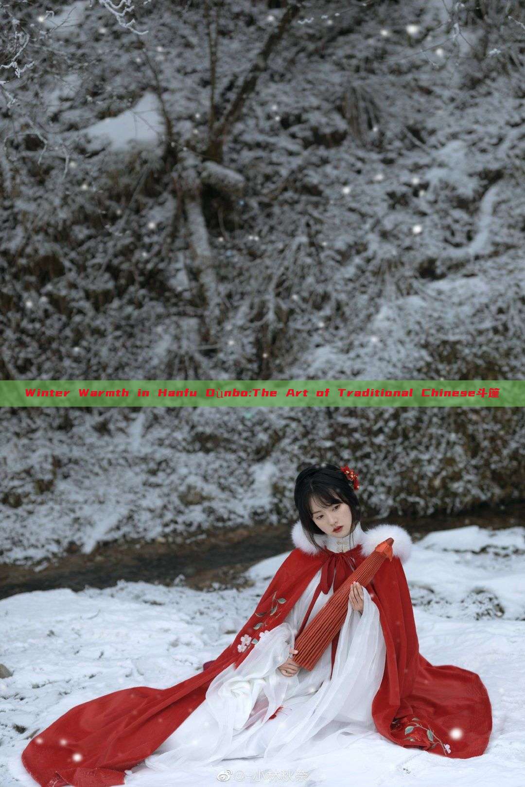 Winter Warmth in Hanfu Dùnbo:The Art of Traditional Chinese斗篷 Winter Warmth in Hanfu Dùnbo:The Art of Traditional Chinese斗篷