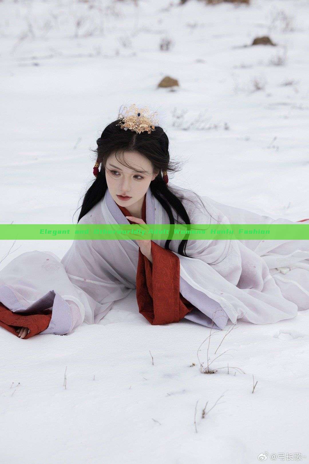 Elegant and Otherworldly:Adult Womens Hanfu Fashion Elegant and Otherworldly:Adult Womens Hanfu Fashion