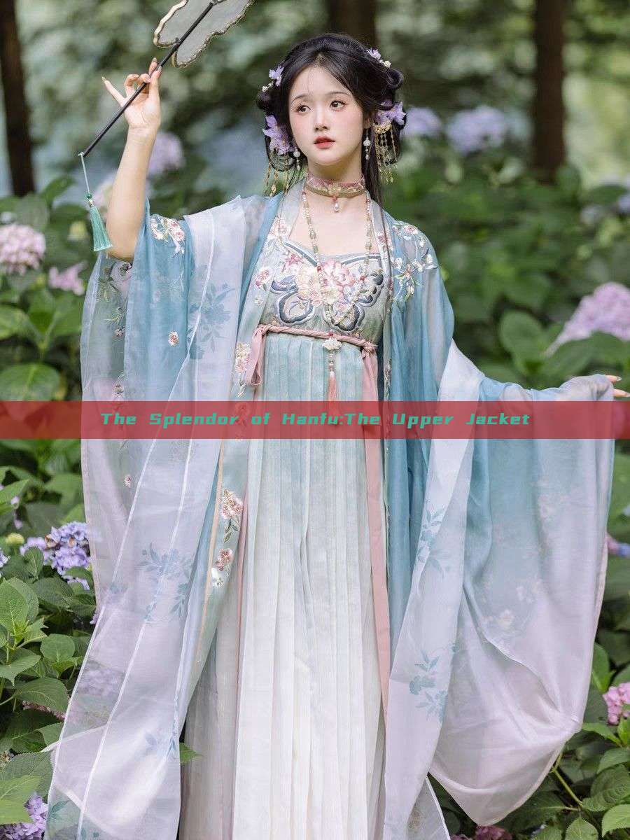 The Splendor of Hanfu:The Upper Jacket The Splendor of Hanfu:The Upper Jacket