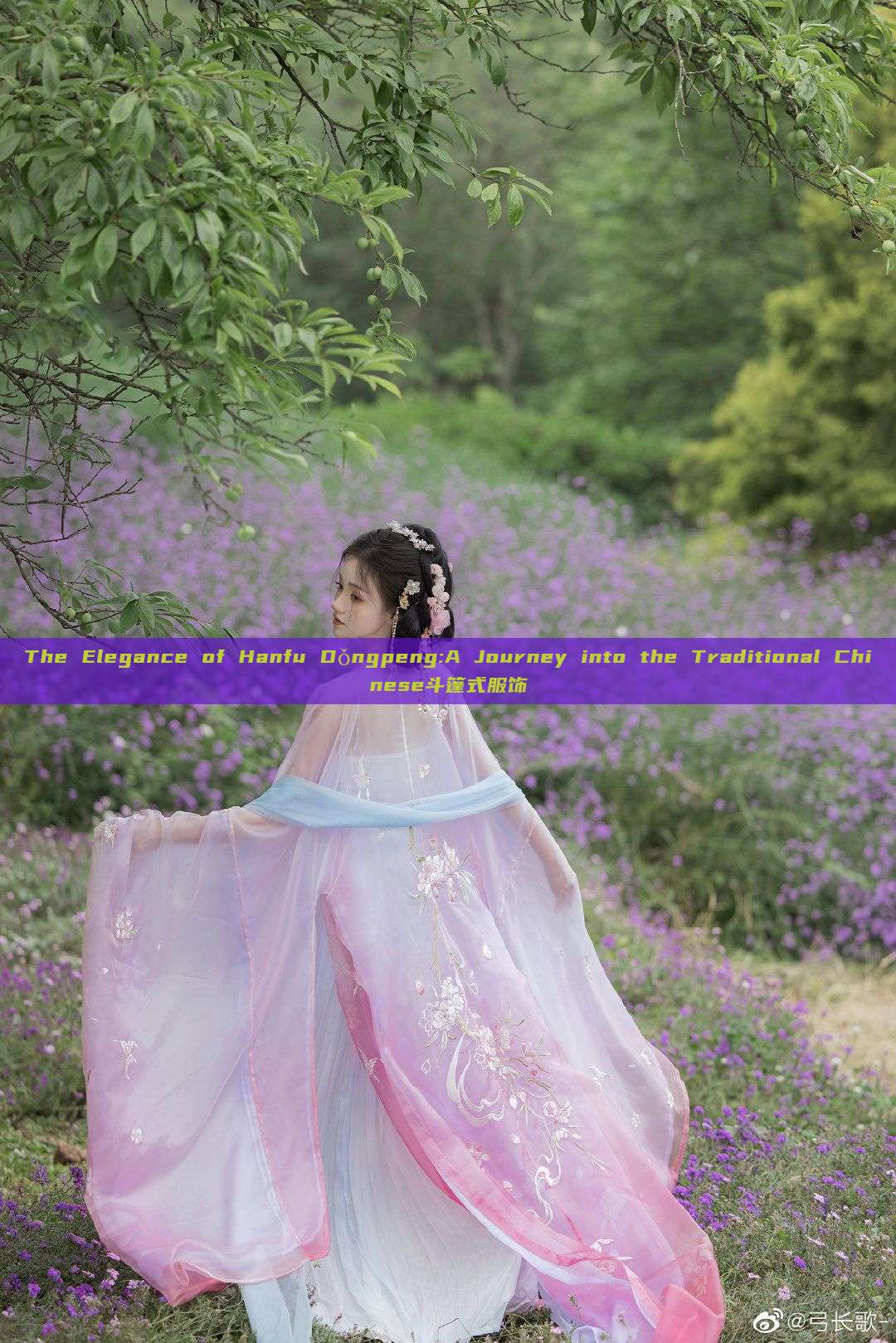The Elegance of Hanfu Dǒngpeng:A Journey into the Traditional Chinese斗篷式服饰 The Elegance of Hanfu Dǒngpeng:A Journey into the Traditional Chinese斗篷式服饰