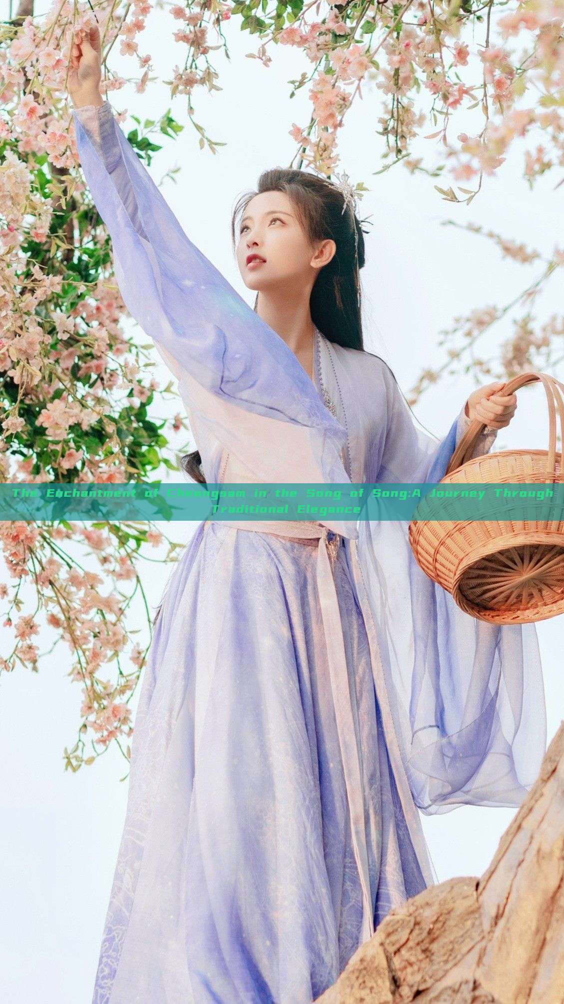 The Enchantment of Cheongsam in the Song of Song:A Journey Through Traditional Elegance The Enchantment of Cheongsam in the Song of Song:A Journey Through Traditional Elegance