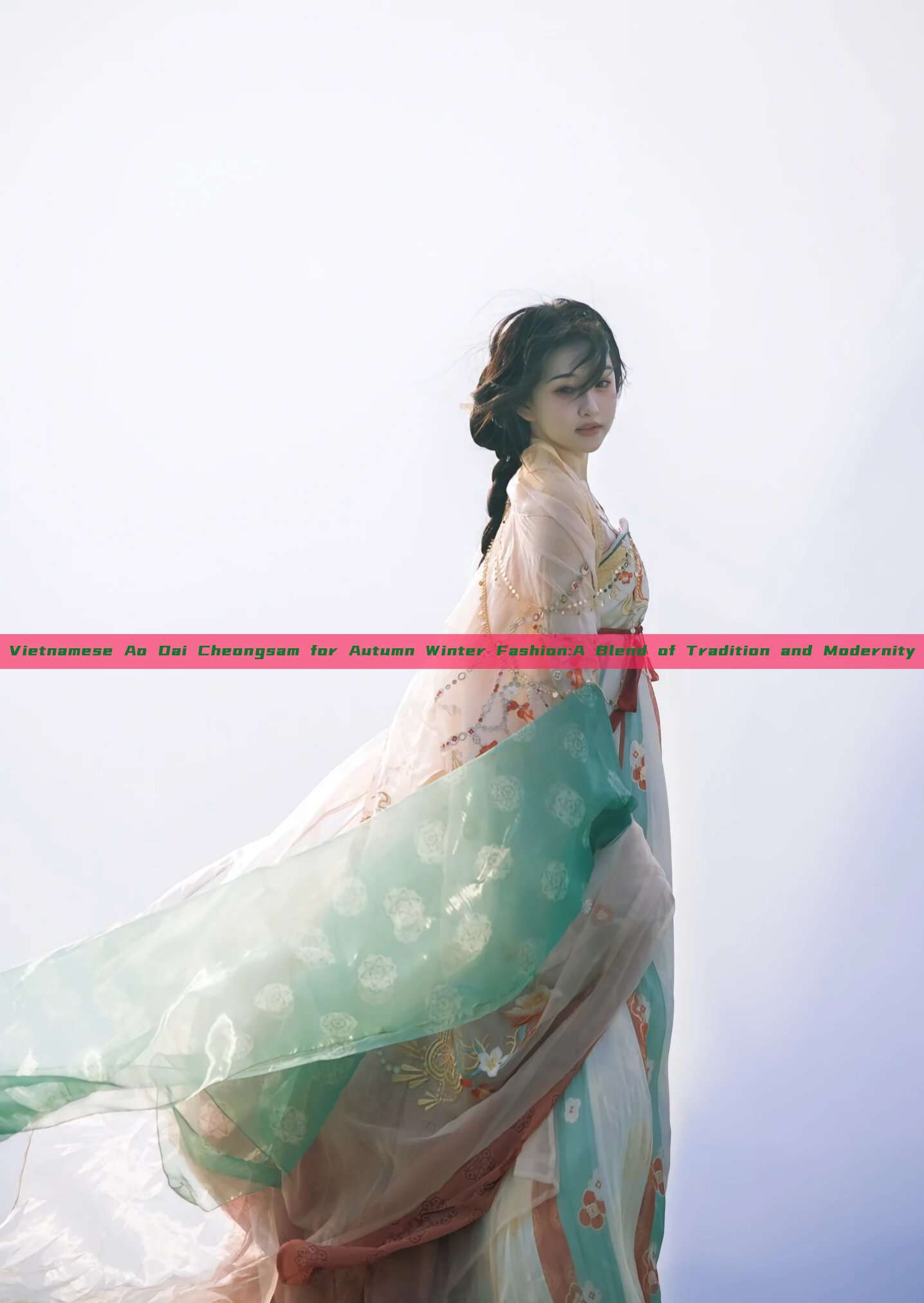 Vietnamese Ao Dai Cheongsam for Autumn Winter Fashion:A Blend of Tradition and Modernity Vietnamese Ao Dai Cheongsam for Autumn Winter Fashion:A Blend of Tradition and Modernity