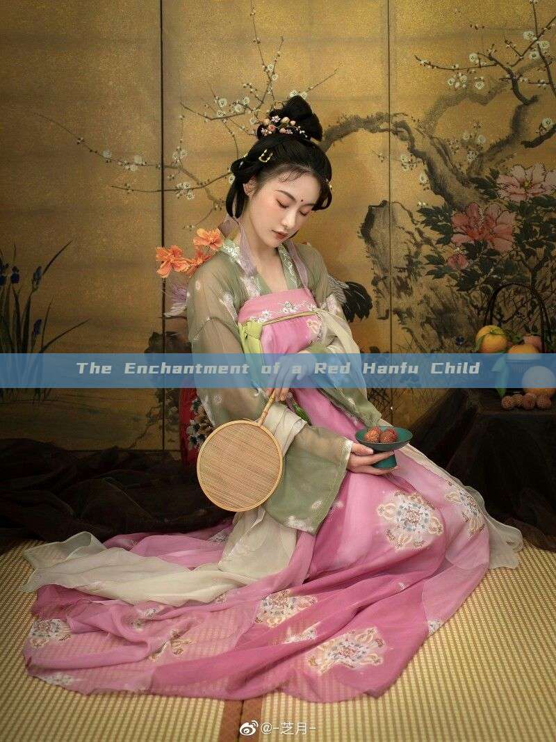 The Enchantment of a Red Hanfu Child The Enchantment of a Red Hanfu Child