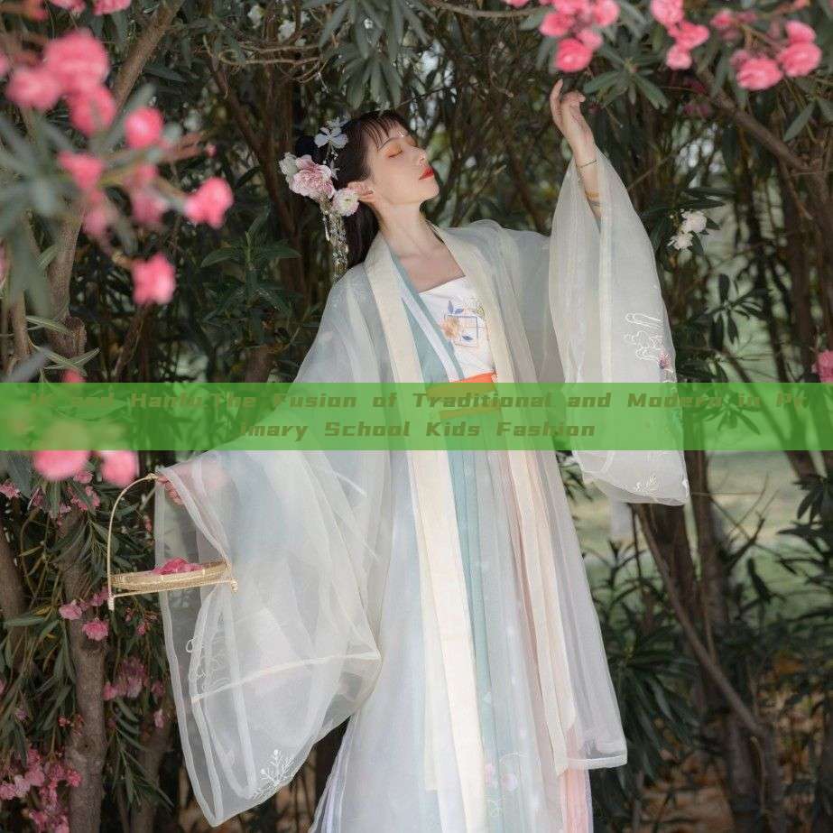 JK and Hanfu:The Fusion of Traditional and Modern in Primary School Kids Fashion JK and Hanfu:The Fusion of Traditional and Modern in Primary School Kids Fashion
