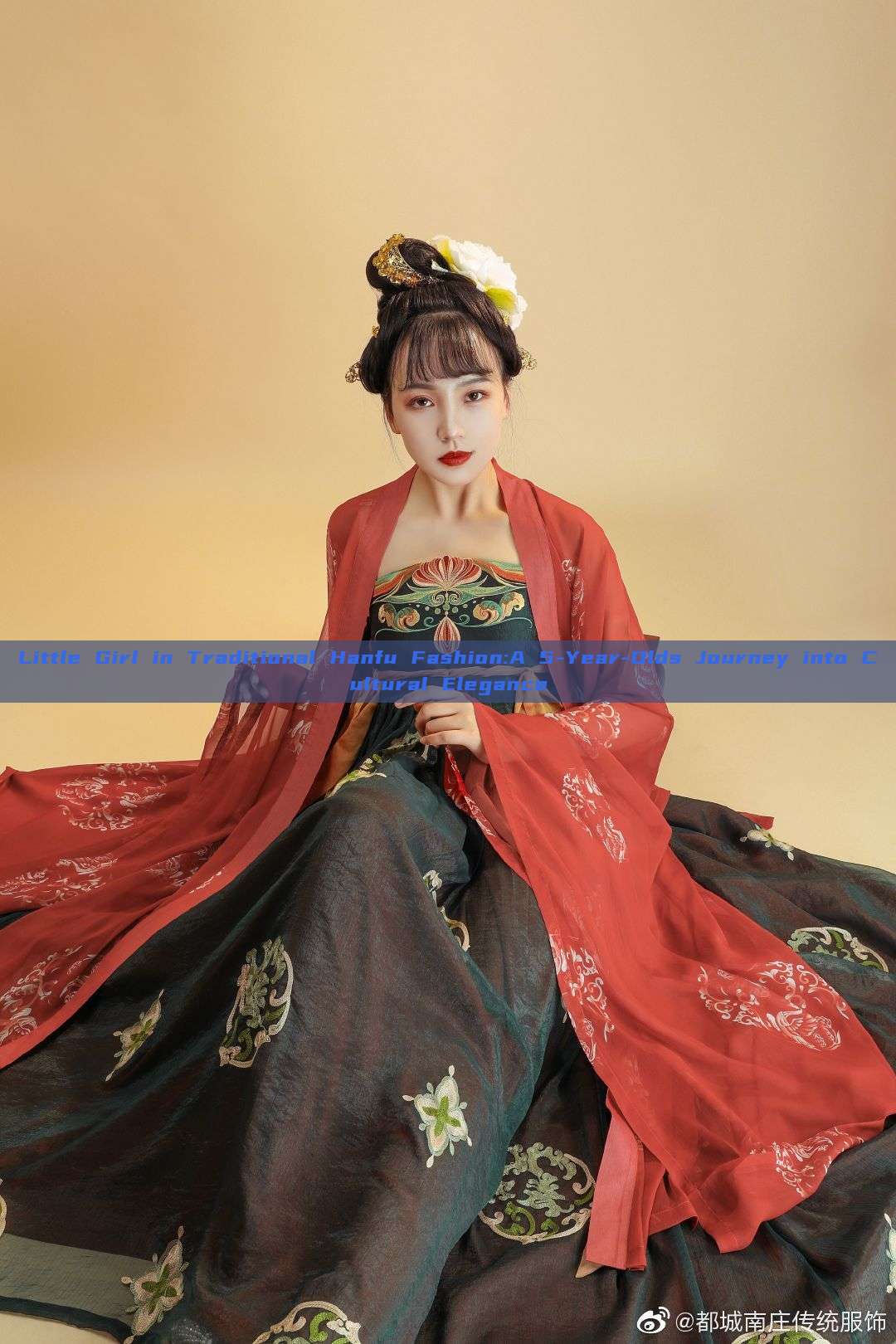 Little Girl in Traditional Hanfu Fashion:A 5-Year-Olds Journey into Cultural Elegance Little Girl in Traditional Hanfu Fashion:A 5-Year-Olds Journey into Cultural Elegance