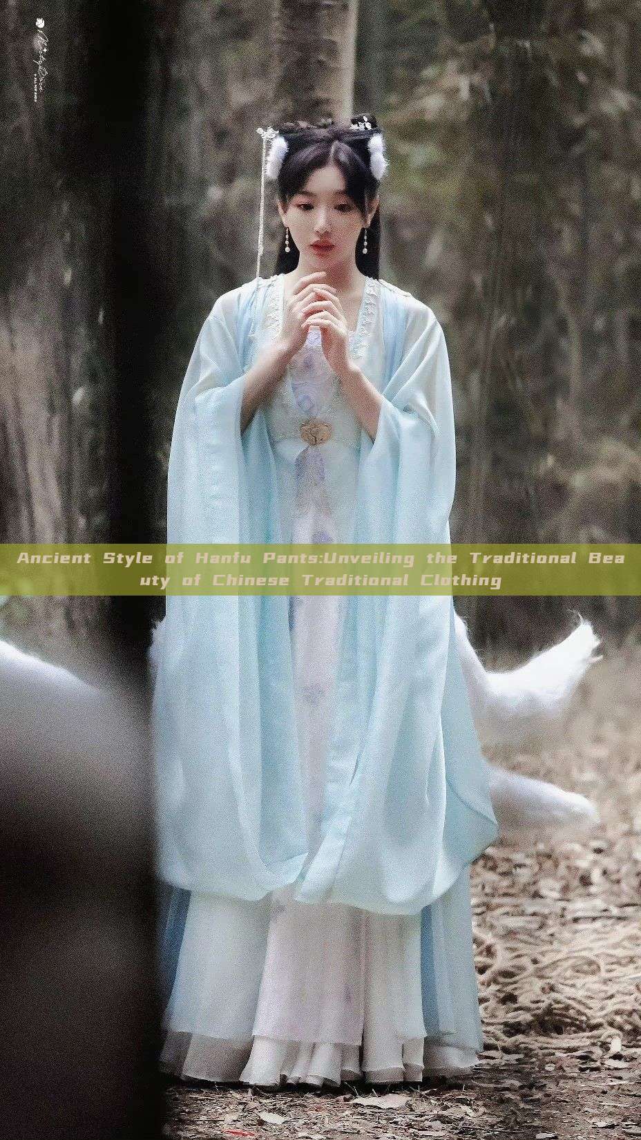 Ancient Style of Hanfu Pants:Unveiling the Traditional Beauty of Chinese Traditional Clothing Ancient Style of Hanfu Pants:Unveiling the Traditional Beauty of Chinese Traditional Clothing