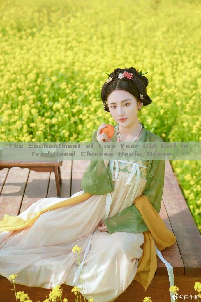 The Enchantment of Five-Year-Old Girl in Traditional Chinese Hanfu Dress The Enchantment of Five-Year-Old Girl in Traditional Chinese Hanfu Dress