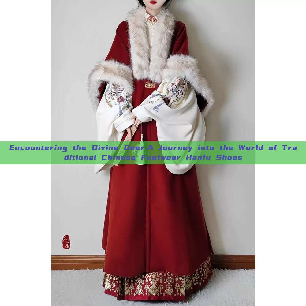 Encountering the Divine Deer:A Journey into the World of Traditional Chinese Footwear Hanfu Shoes Encountering the Divine Deer:A Journey into the World of Traditional Chinese Footwear Hanfu Shoes