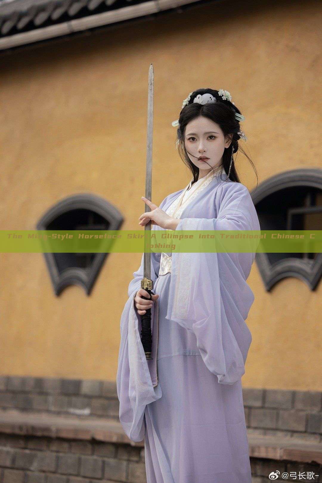 The Ming-Style Horseface Skirt:A Glimpse into Traditional Chinese Clothing The Ming-Style Horseface Skirt:A Glimpse into Traditional Chinese Clothing