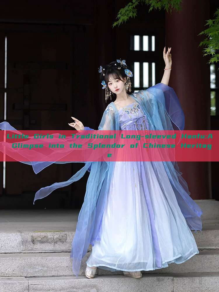 Little Girls in Traditional Long-sleeved Hanfu:A Glimpse into the Splendor of Chinese Heritage Little Girls in Traditional Long-sleeved Hanfu:A Glimpse into the Splendor of Chinese Heritage