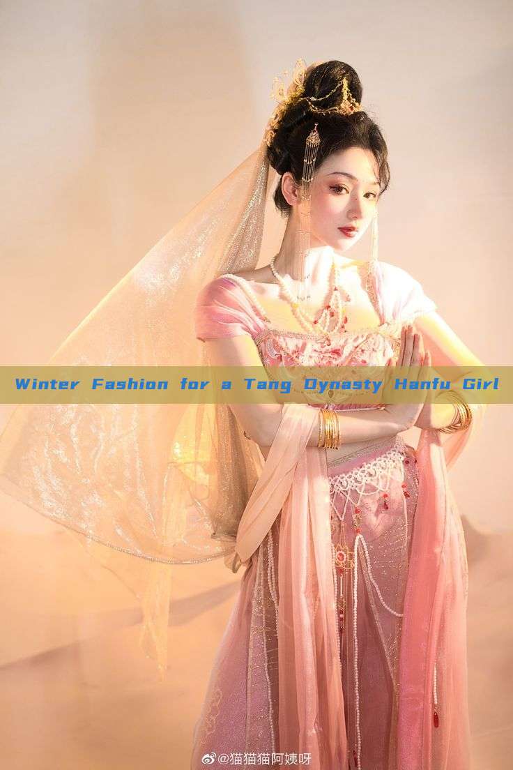 Winter Fashion for a Tang Dynasty Hanfu Girl Winter Fashion for a Tang Dynasty Hanfu Girl