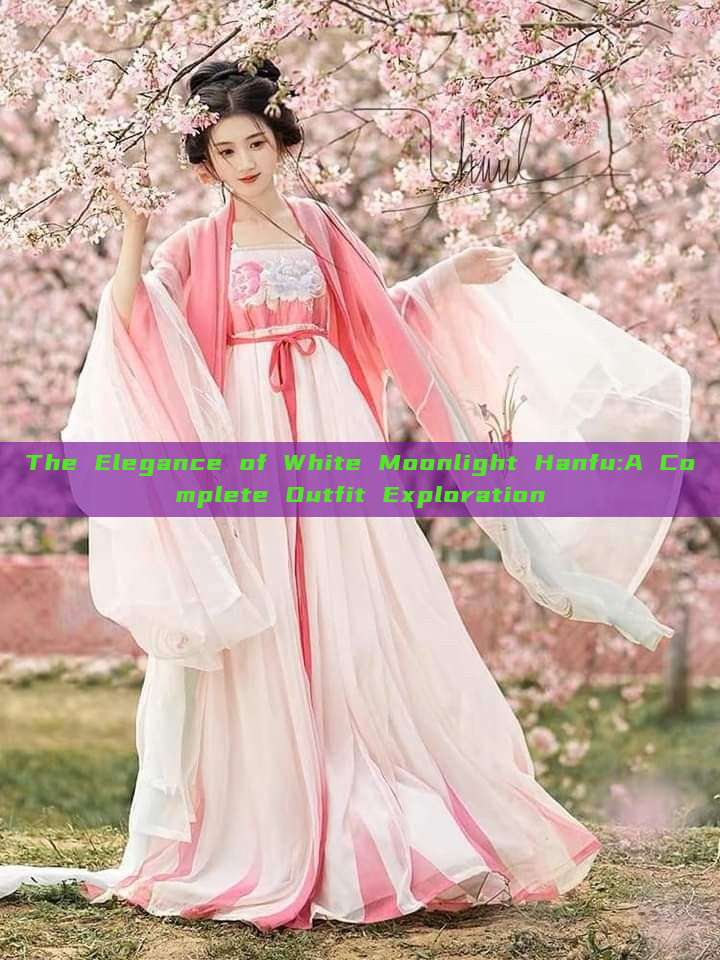 The Elegance of White Moonlight Hanfu:A Complete Outfit Exploration The Elegance of White Moonlight Hanfu:A Complete Outfit Exploration