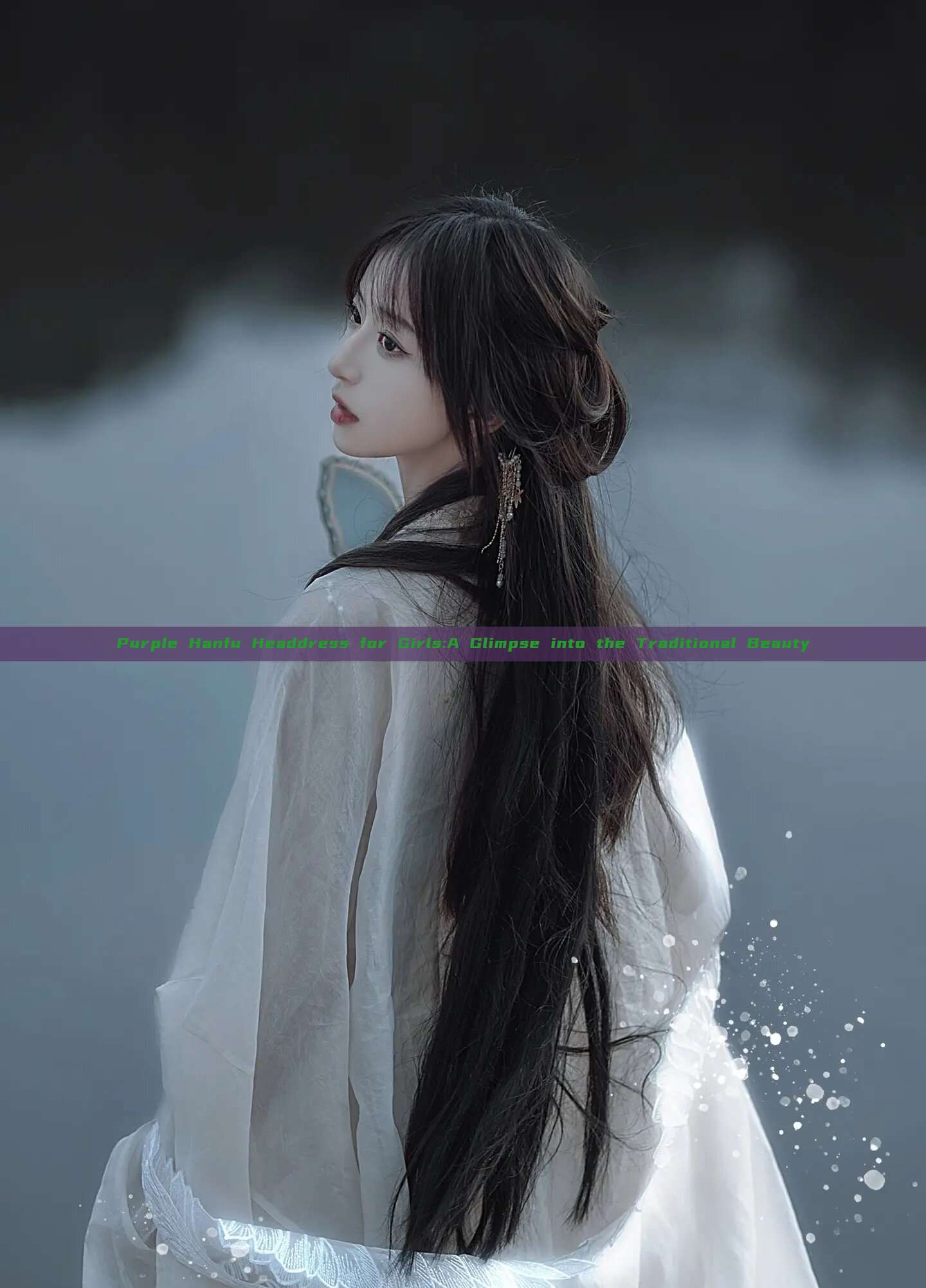Purple Hanfu Headdress for Girls:A Glimpse into the Traditional Beauty Purple Hanfu Headdress for Girls:A Glimpse into the Traditional Beauty
