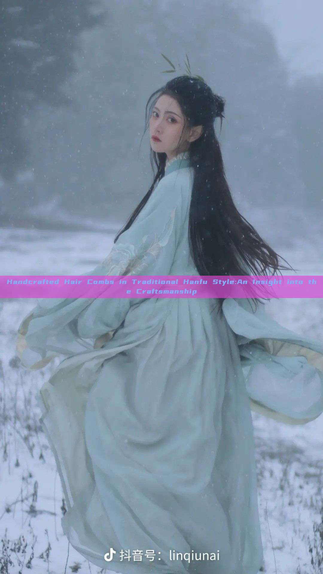 Handcrafted Hair Combs in Traditional Hanfu Style:An Insight into the Craftsmanship Handcrafted Hair Combs in Traditional Hanfu Style:An Insight into the Craftsmanship