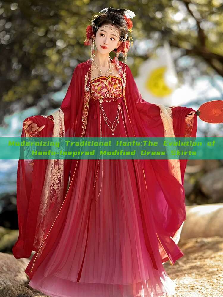 Modernizing Traditional Hanfu:The Evolution of Hanfu-Inspired Modified Dress Skirts Modernizing Traditional Hanfu:The Evolution of Hanfu-Inspired Modified Dress Skirts