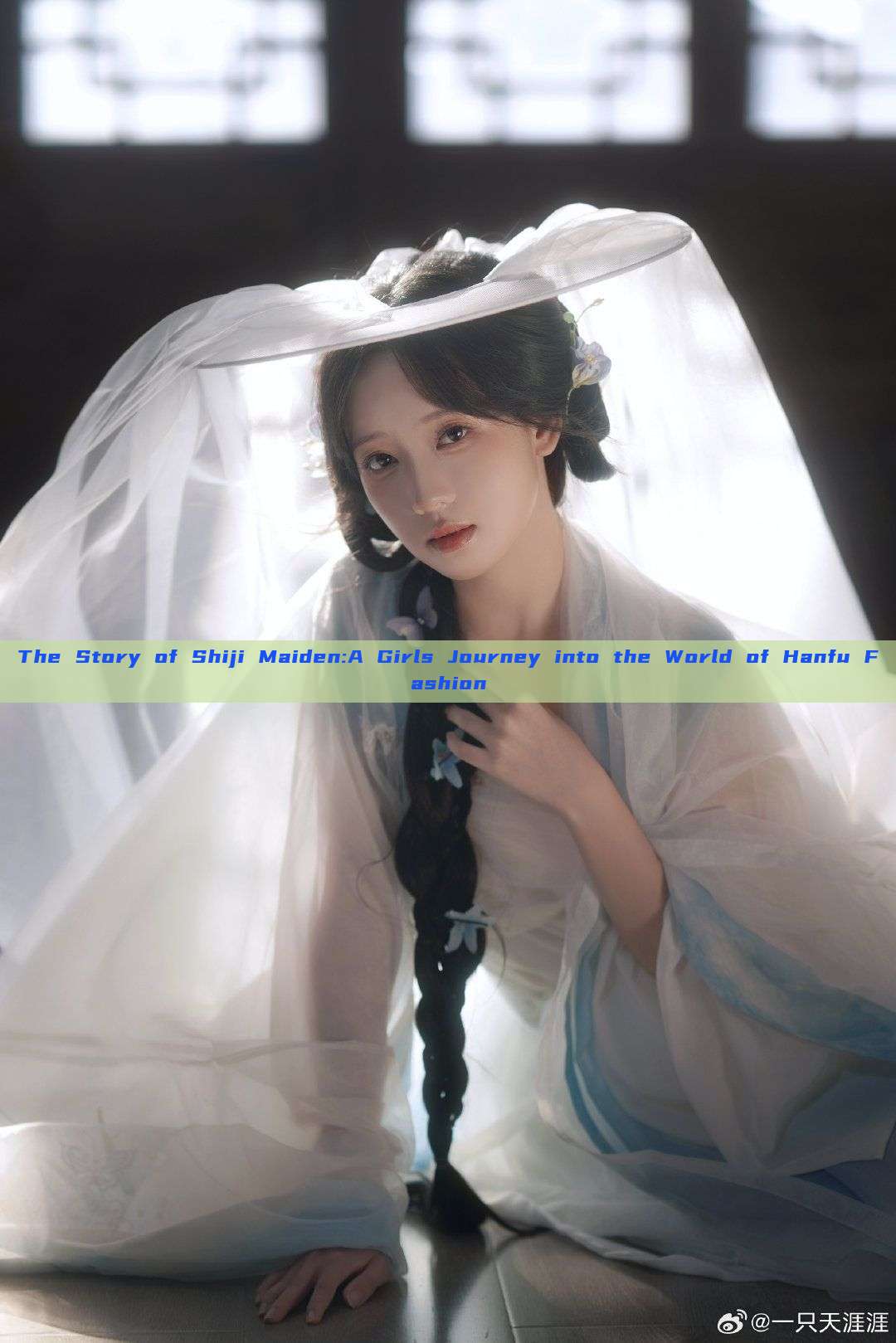 The Story of Shiji Maiden:A Girls Journey into the World of Hanfu Fashion The Story of Shiji Maiden:A Girls Journey into the World of Hanfu Fashion