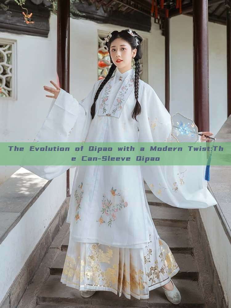 The Evolution of Qipao with a Modern Twist:The Can-Sleeve Qipao The Evolution of Qipao with a Modern Twist:The Can-Sleeve Qipao