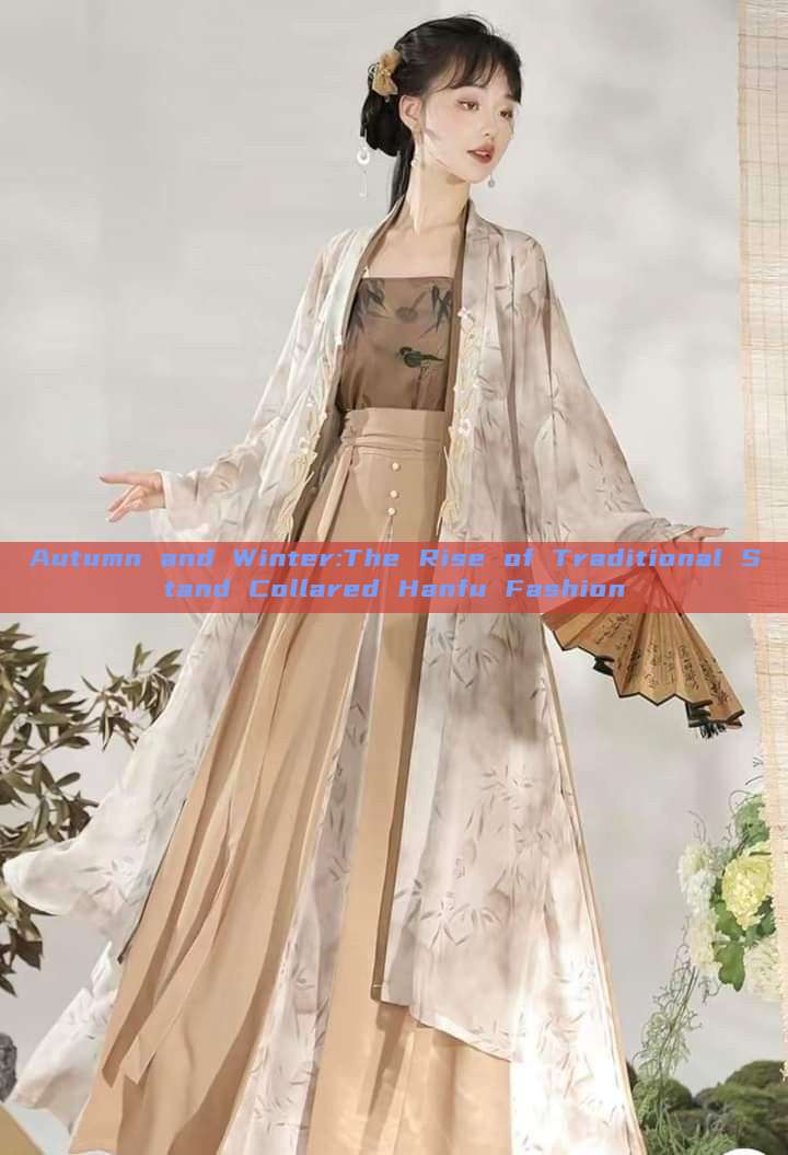 Autumn and Winter:The Rise of Traditional Stand Collared Hanfu Fashion Autumn and Winter:The Rise of Traditional Stand Collared Hanfu Fashion