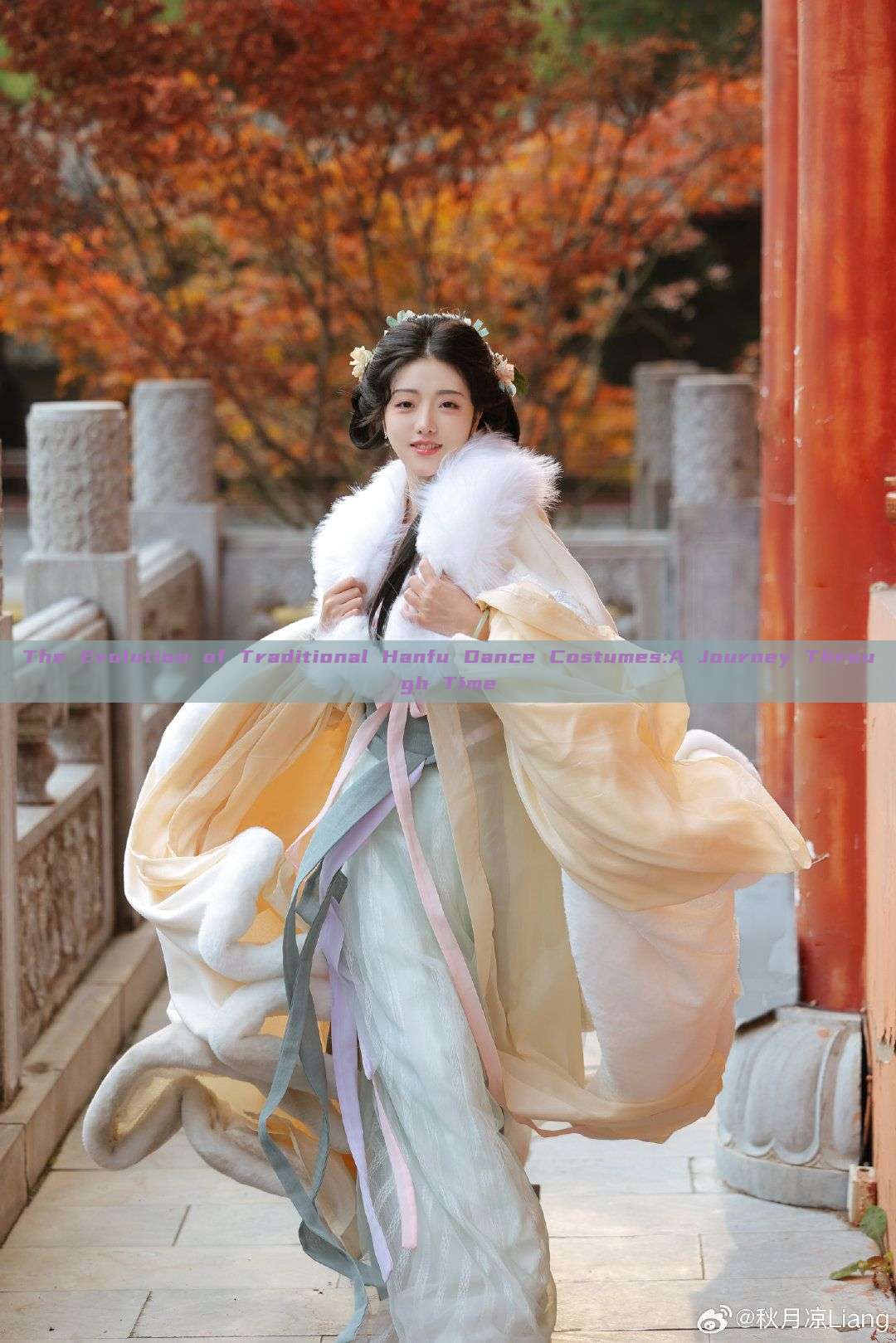 The Evolution of Traditional Hanfu Dance Costumes:A Journey Through Time The Evolution of Traditional Hanfu Dance Costumes:A Journey Through Time