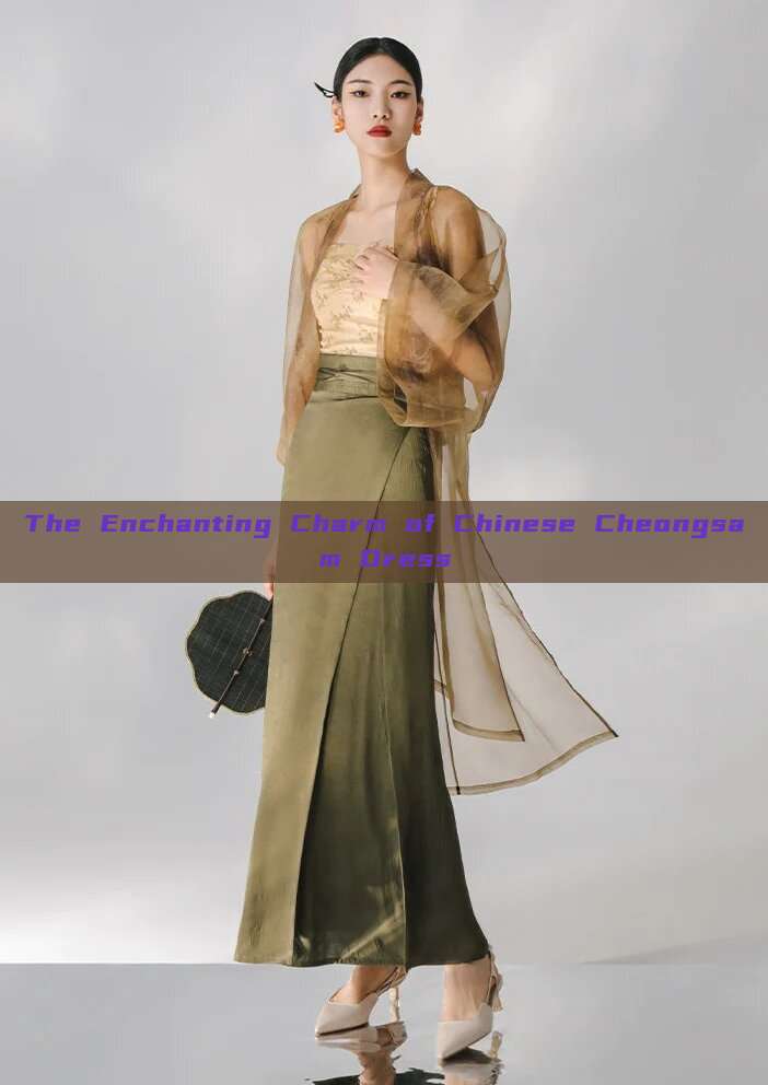 The Enchanting Charm of Chinese Cheongsam Dress The Enchanting Charm of Chinese Cheongsam Dress