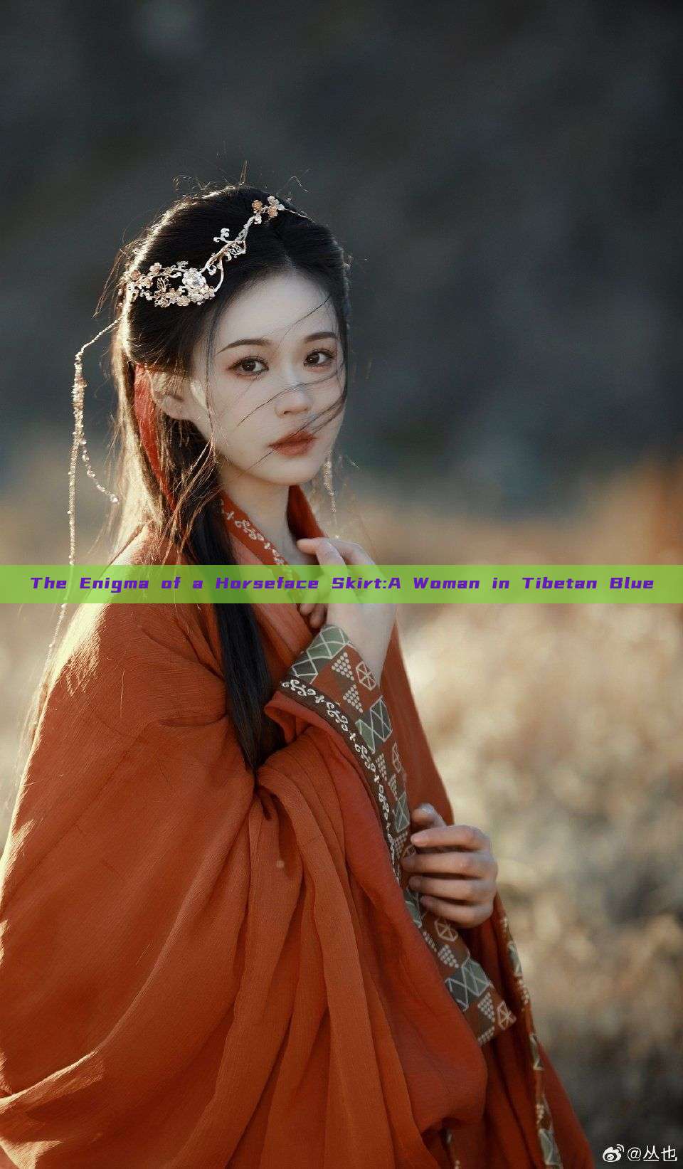 The Enigma of a Horseface Skirt:A Woman in Tibetan Blue The Enigma of a Horseface Skirt:A Woman in Tibetan Blue
