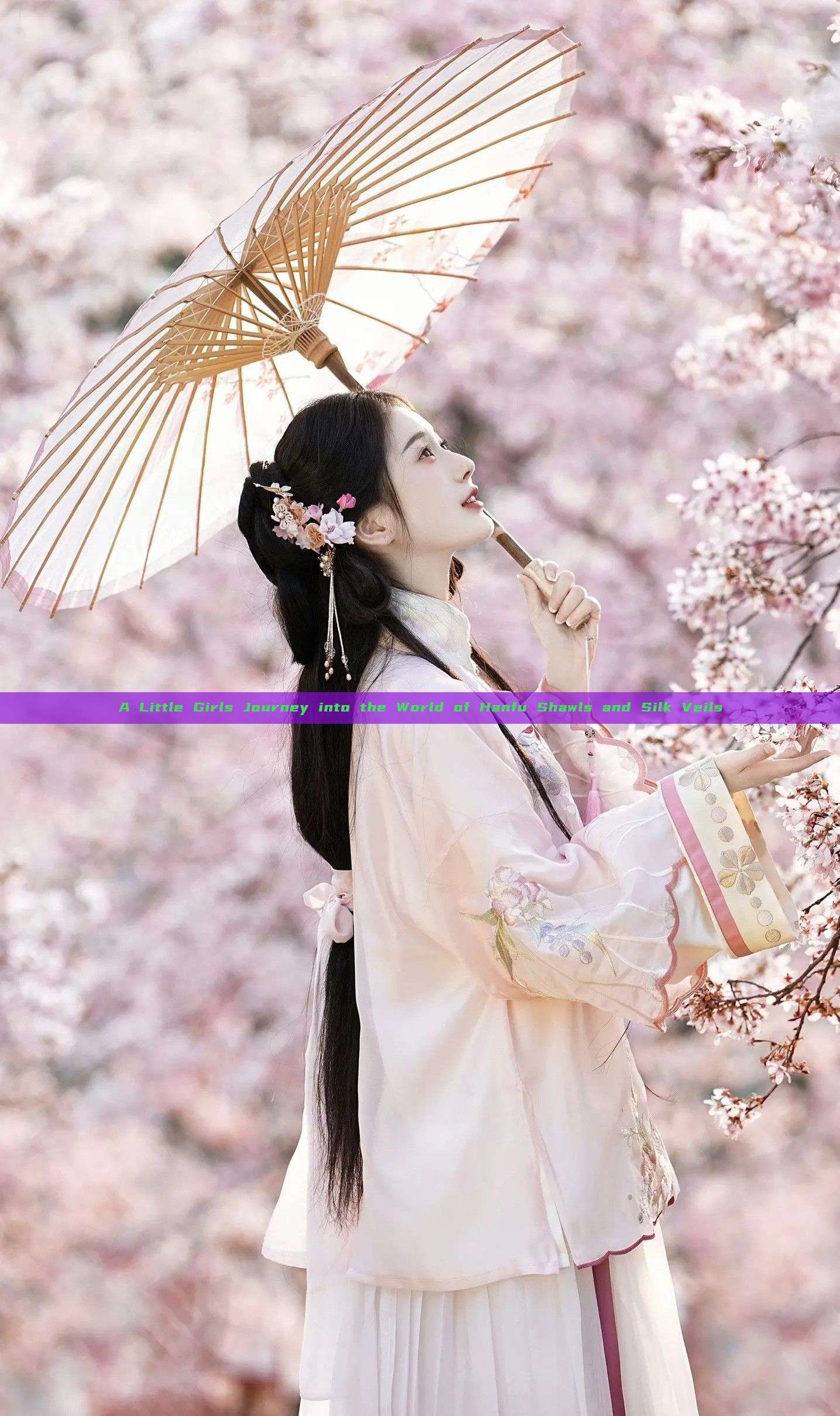 A Little Girls Journey into the World of Hanfu Shawls and Silk Veils A Little Girls Journey into the World of Hanfu Shawls and Silk Veils
