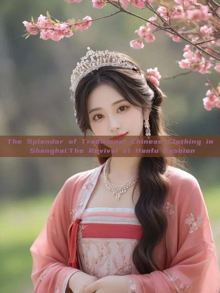 The Splendor of Traditional Chinese Clothing in Shanghai:The Revival of Hanfu Fashion The Splendor of Traditional Chinese Clothing in Shanghai:The Revival of Hanfu Fashion