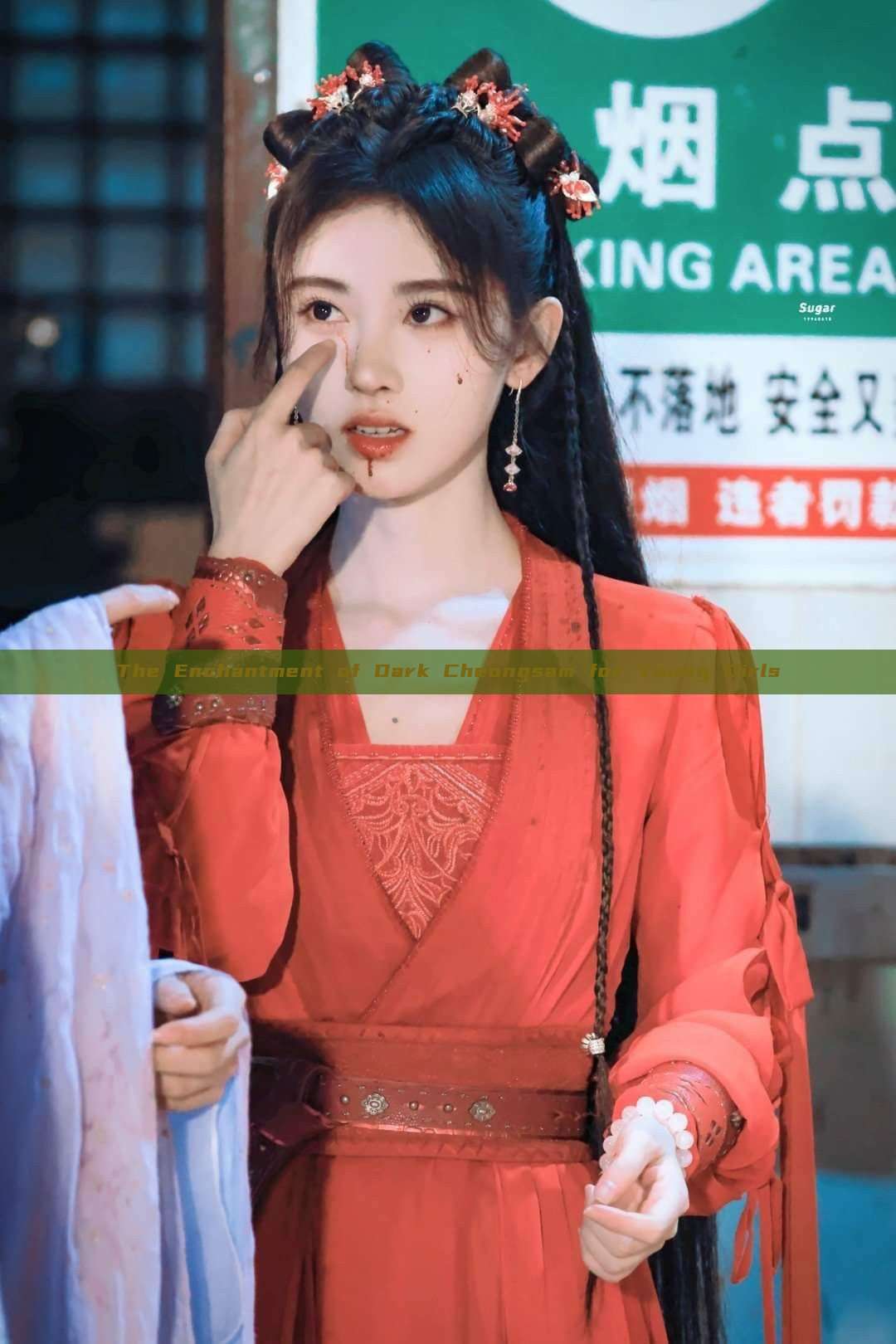 The Enchantment of Dark Cheongsam for Young Girls The Enchantment of Dark Cheongsam for Young Girls