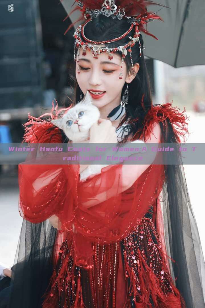 Winter Hanfu Coats for Women:A Guide to Traditional Elegance Winter Hanfu Coats for Women:A Guide to Traditional Elegance