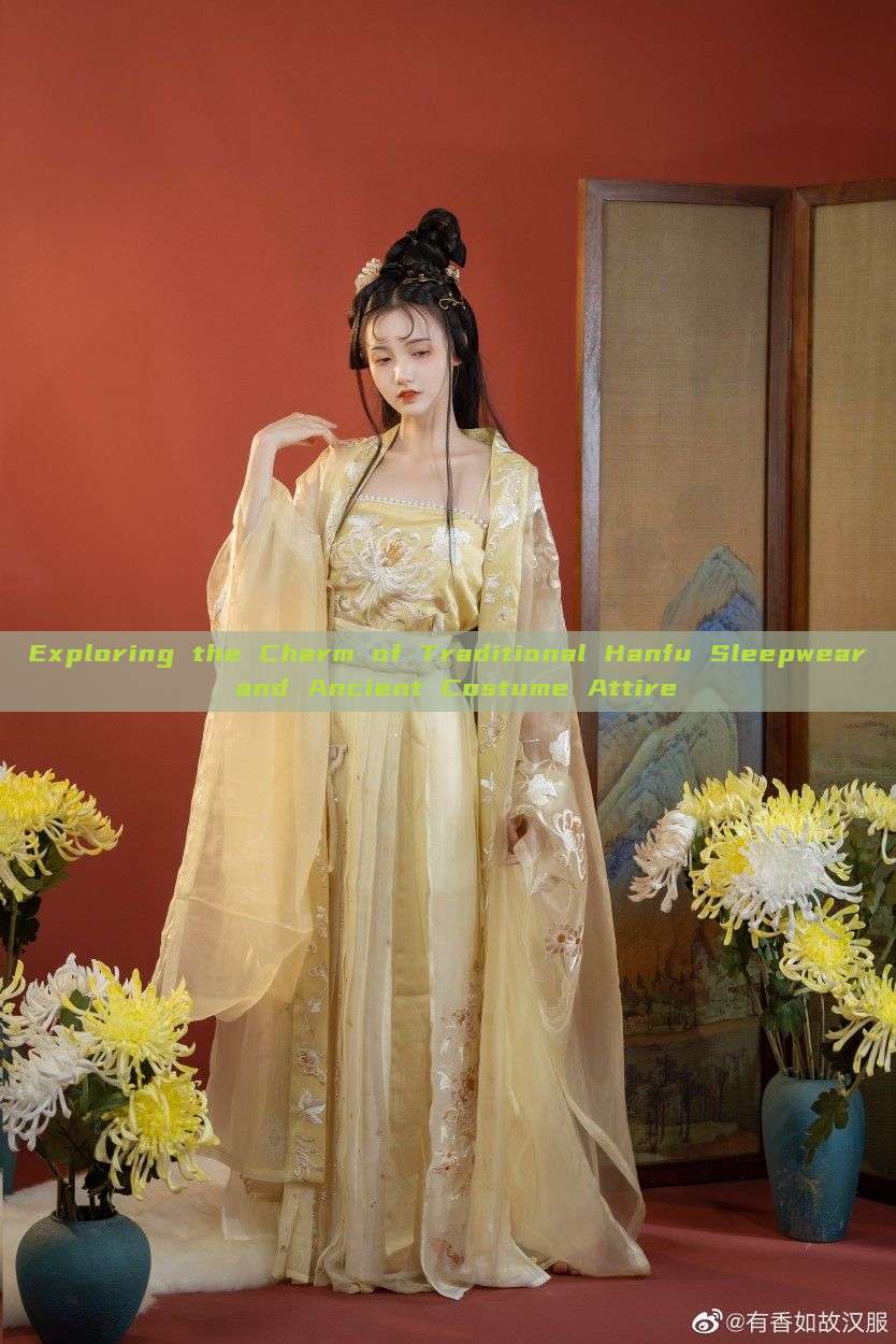 Exploring the Charm of Traditional Hanfu Sleepwear and Ancient Costume Attire Exploring the Charm of Traditional Hanfu Sleepwear and Ancient Costume Attire