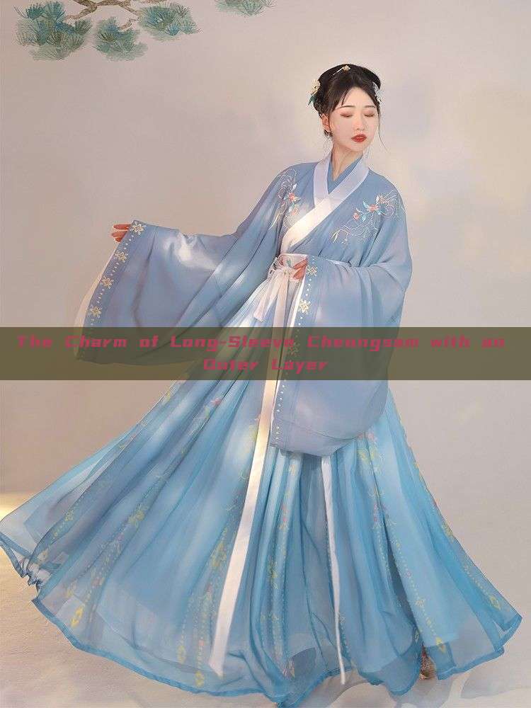 The Charm of Long-Sleeve Cheongsam with an Outer Layer The Charm of Long-Sleeve Cheongsam with an Outer Layer