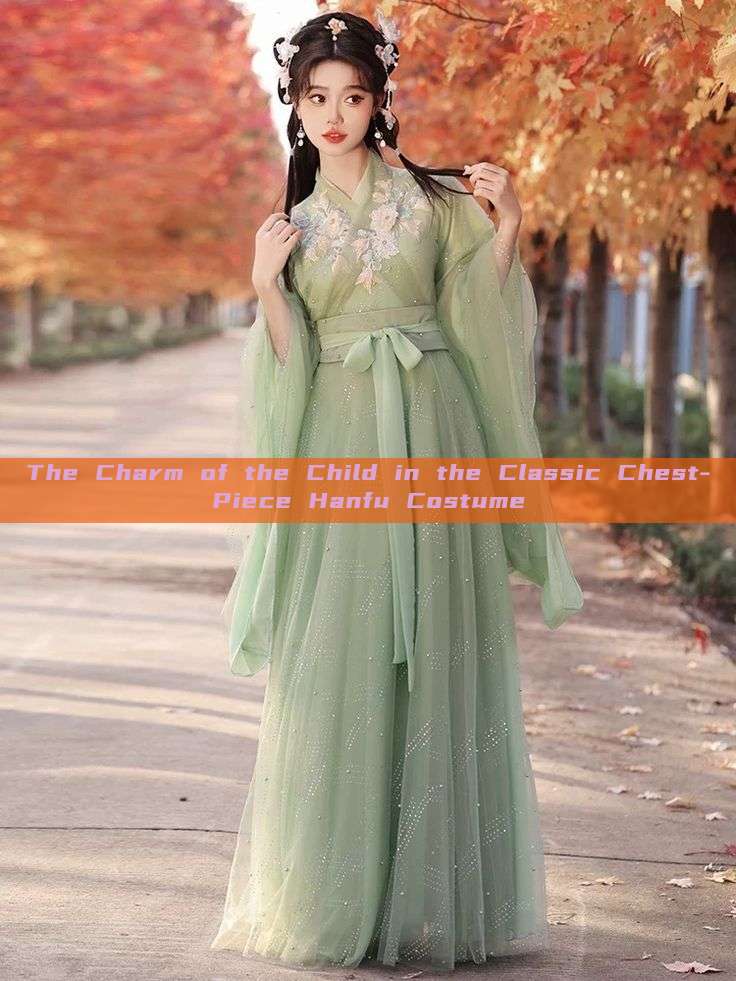 The Charm of the Child in the Classic Chest-Piece Hanfu Costume The Charm of the Child in the Classic Chest-Piece Hanfu Costume