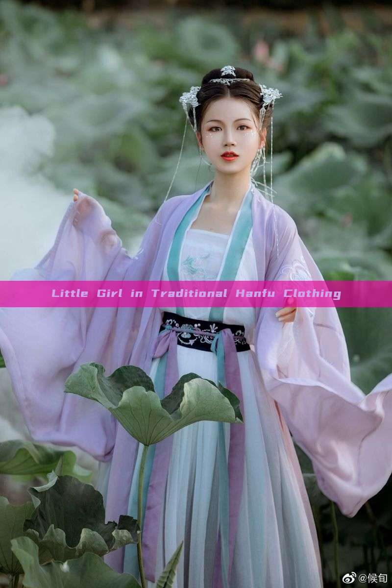 Little Girl in Traditional Hanfu Clothing Little Girl in Traditional Hanfu Clothing