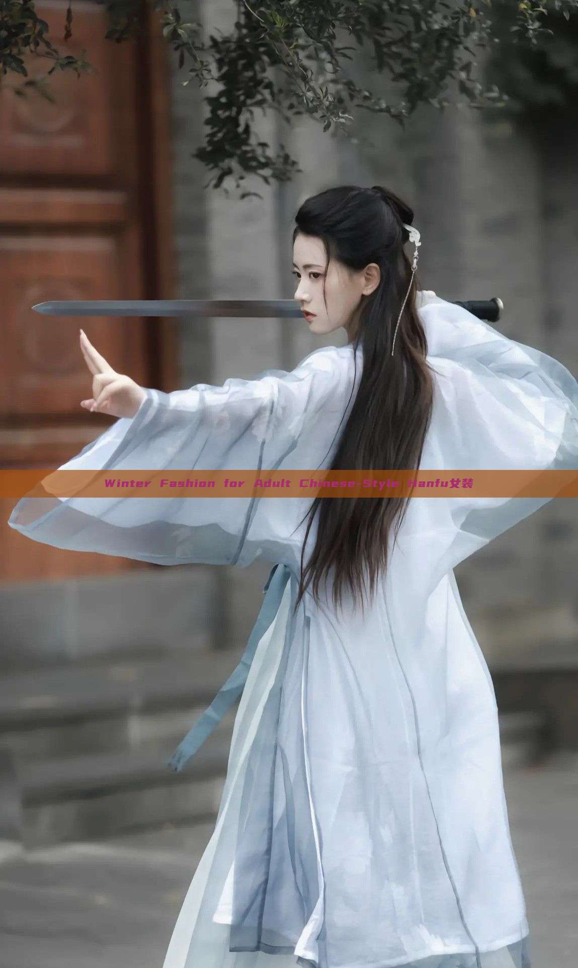 Winter Fashion for Adult Chinese-Style Hanfu女装