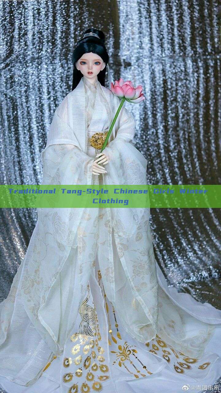 Traditional Tang-Style Chinese Girls Winter Clothing Traditional Tang-Style Chinese Girls Winter Clothing