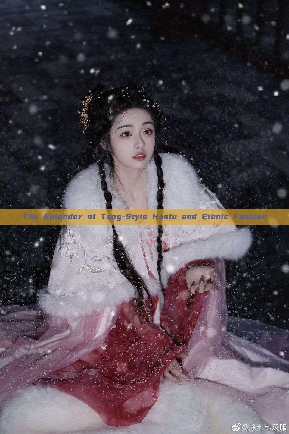The Splendor of Tang-Style Hanfu and Ethnic Fashion The Splendor of Tang-Style Hanfu and Ethnic Fashion