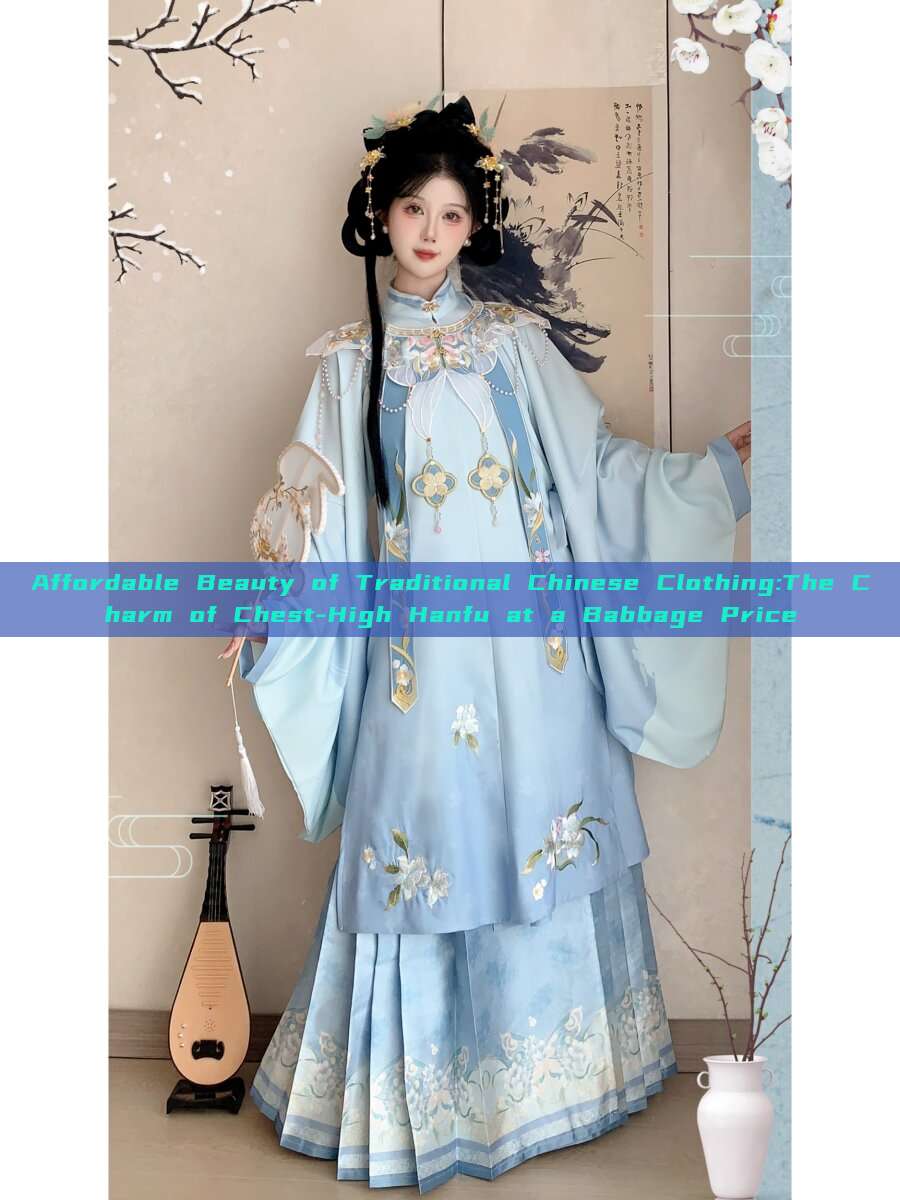 Affordable Beauty of Traditional Chinese Clothing:The Charm of Chest-High Hanfu at a Babbage Price Affordable Beauty of Traditional Chinese Clothing:The Charm of Chest-High Hanfu at a Babbage Price