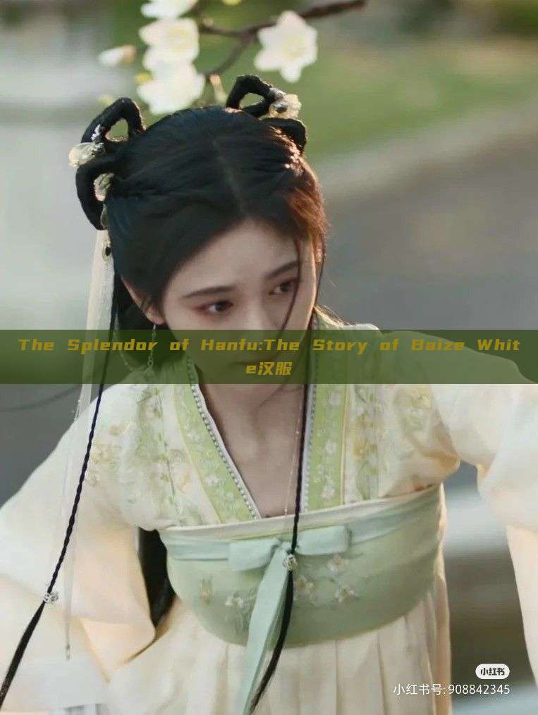 The Splendor of Hanfu:The Story of Baize White汉服 The Splendor of Hanfu:The Story of Baize White汉服