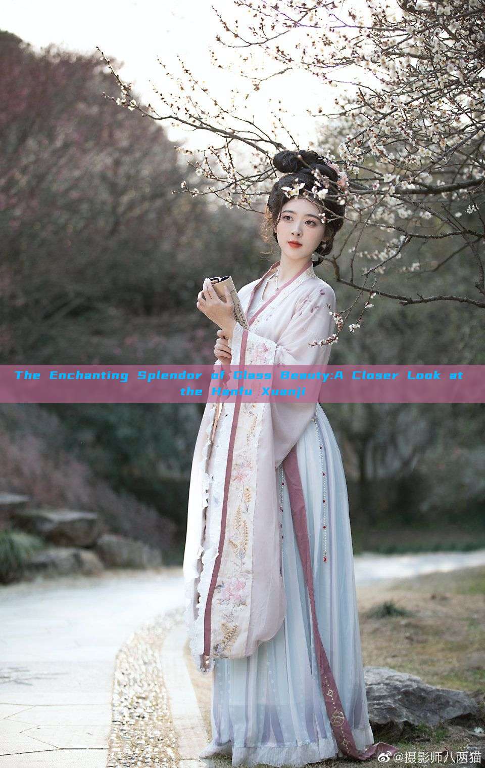 The Enchanting Splendor of Glass Beauty:A Closer Look at the Hanfu Xuanji The Enchanting Splendor of Glass Beauty:A Closer Look at the Hanfu Xuanji