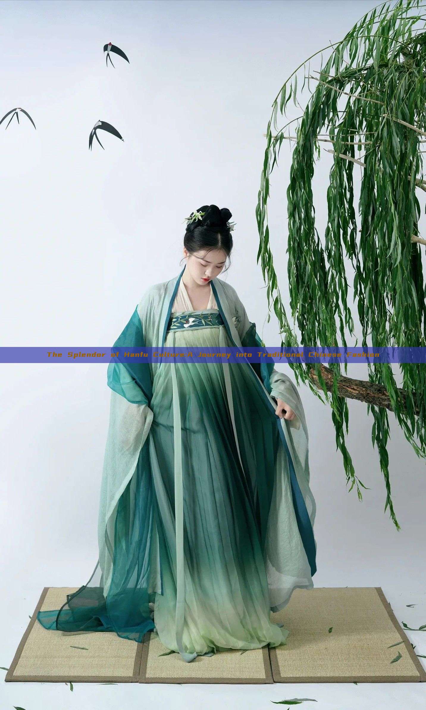 The Splendor of Hanfu Culture:A Journey into Traditional Chinese Fashion The Splendor of Hanfu Culture:A Journey into Traditional Chinese Fashion