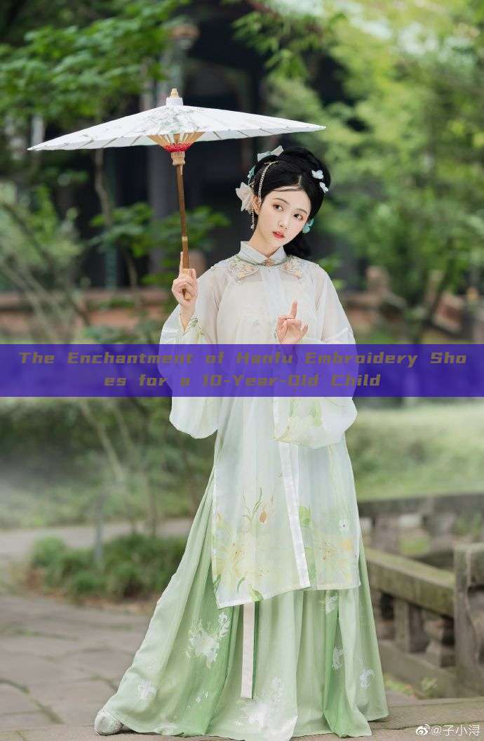 The Enchantment of Hanfu Embroidery Shoes for a 10-Year-Old Child The Enchantment of Hanfu Embroidery Shoes for a 10-Year-Old Child