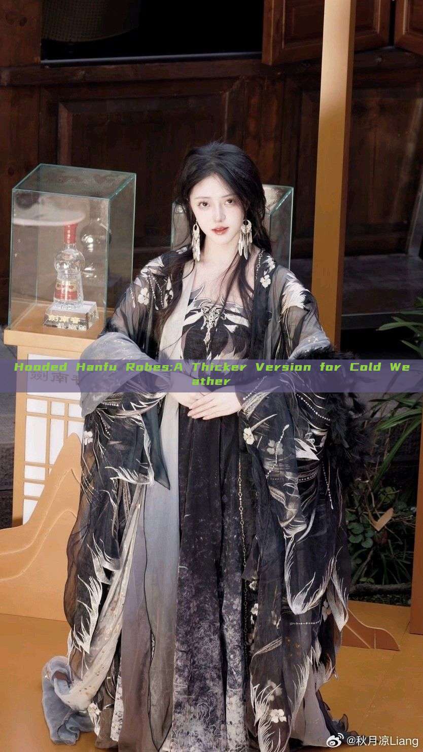 Hooded Hanfu Robes:A Thicker Version for Cold Weather Hooded Hanfu Robes:A Thicker Version for Cold Weather