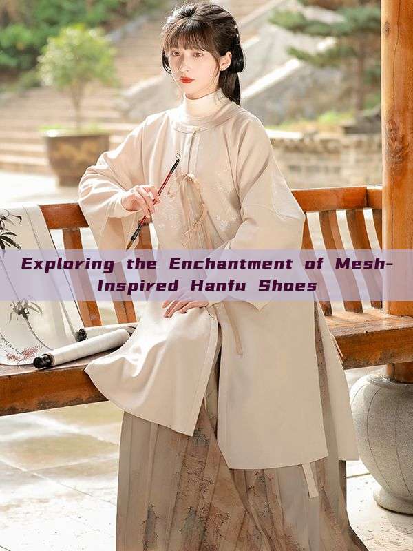 Exploring the Enchantment of Mesh-Inspired Hanfu Shoes Exploring the Enchantment of Mesh-Inspired Hanfu Shoes