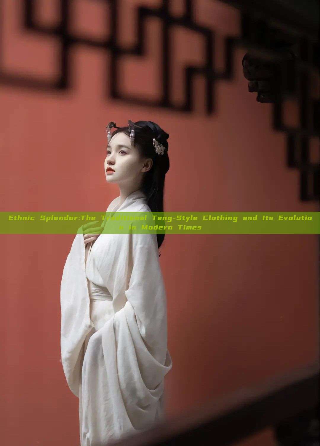 Ethnic Splendor:The Traditional Tang-Style Clothing and Its Evolution in Modern Times Ethnic Splendor:The Traditional Tang-Style Clothing and Its Evolution in Modern Times